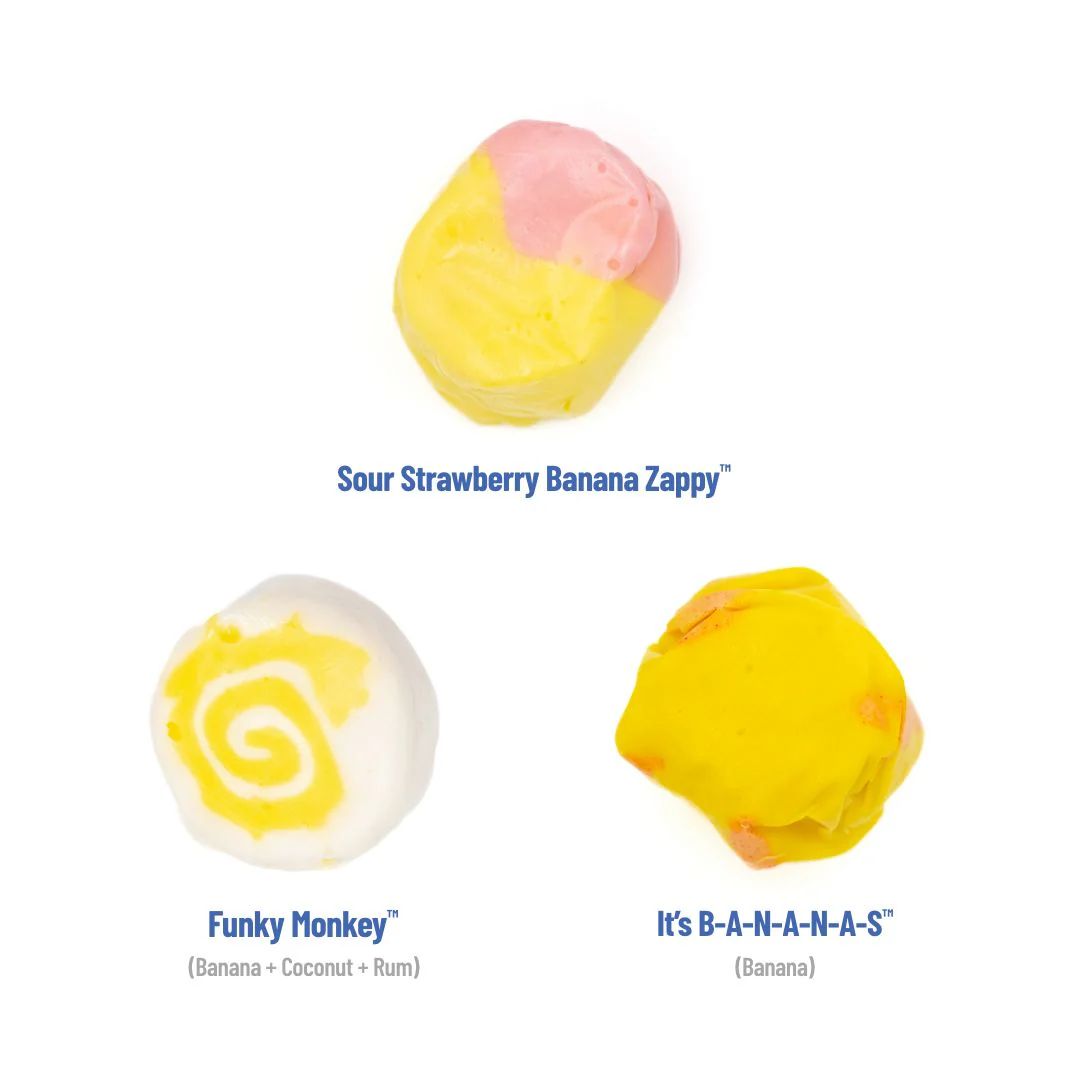 Bestsellers 8-Pack Bundle - Image 8